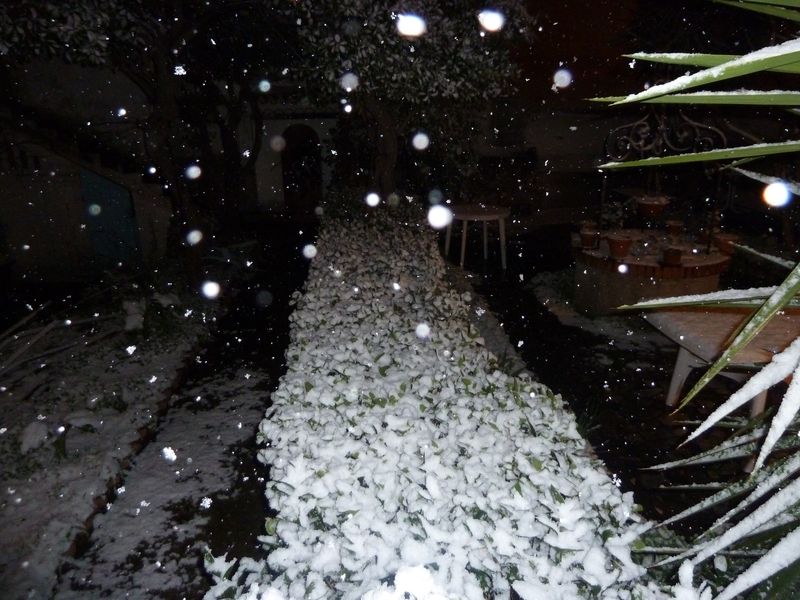neige_toulon_fev_2012_018.jpg