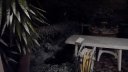 neige_toulon_fev_2012_008.jpg