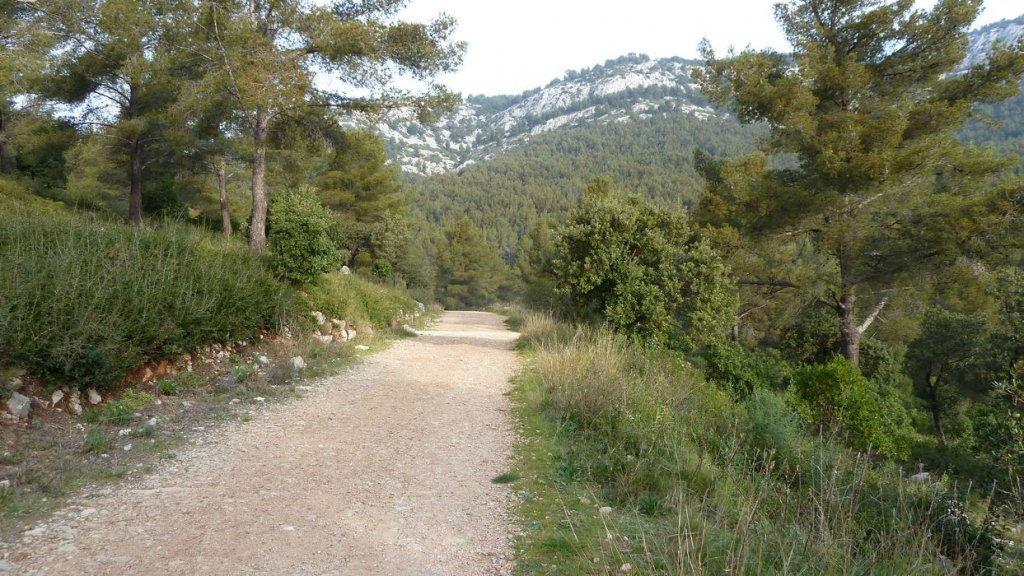 ollioules_baou_mars_2014_10.jpg