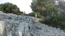 ollioules_baou_mars_2014_38.jpg