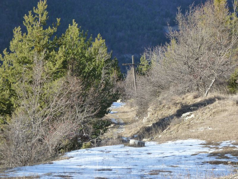 ondres_dec_2011_035.jpg