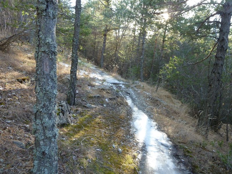 ondres_dec_2011_047.jpg