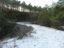 ondres_dec_2011_009.jpg