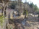 ondres_dec_2011_053.jpg