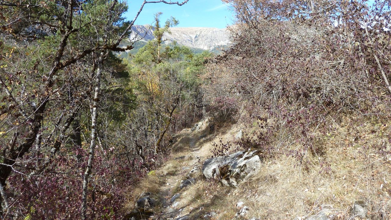 orgeas_oct_2017_110.JPG