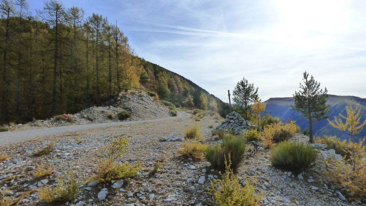 orgeas_oct_2017_25.JPG