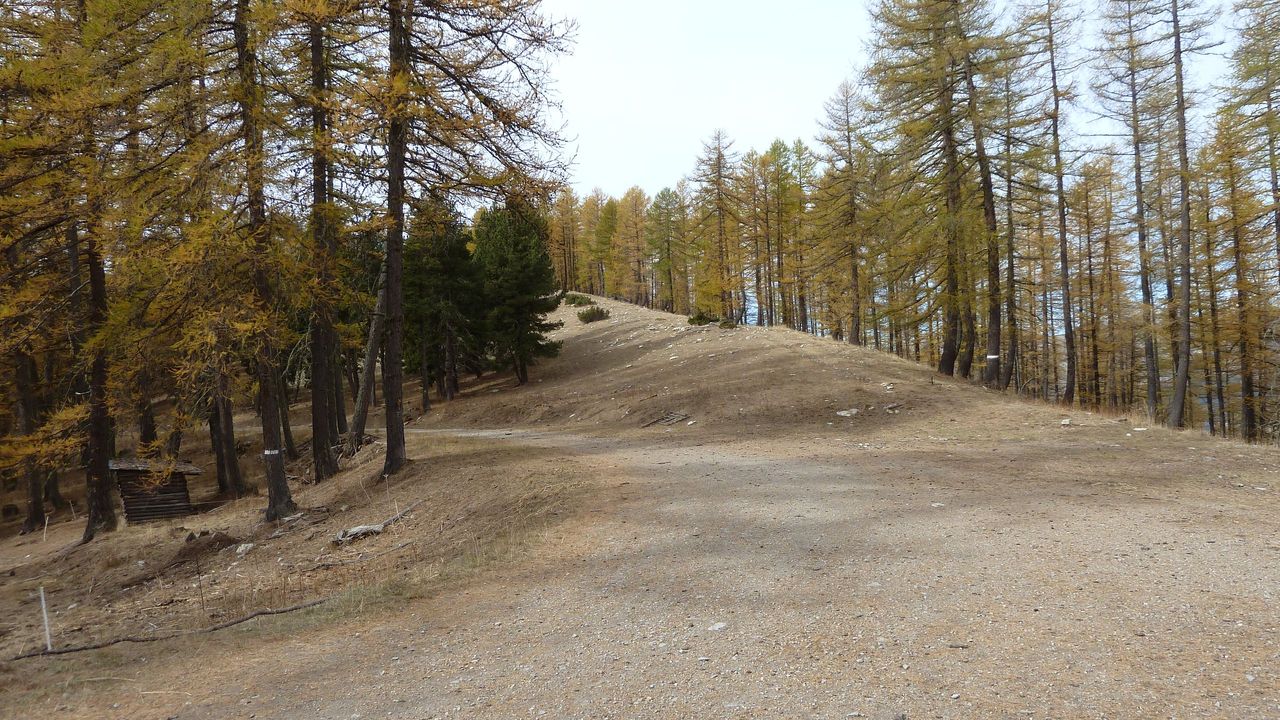orgeas_oct_2017_32.JPG