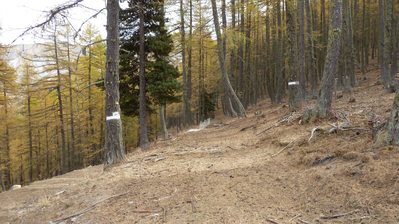 orgeas_oct_2017_34.JPG