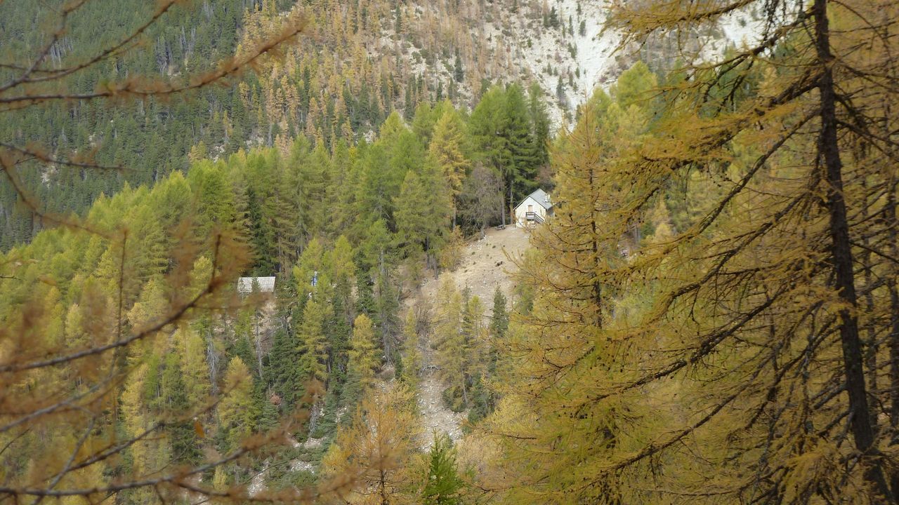 orgeas_oct_2017_39.JPG