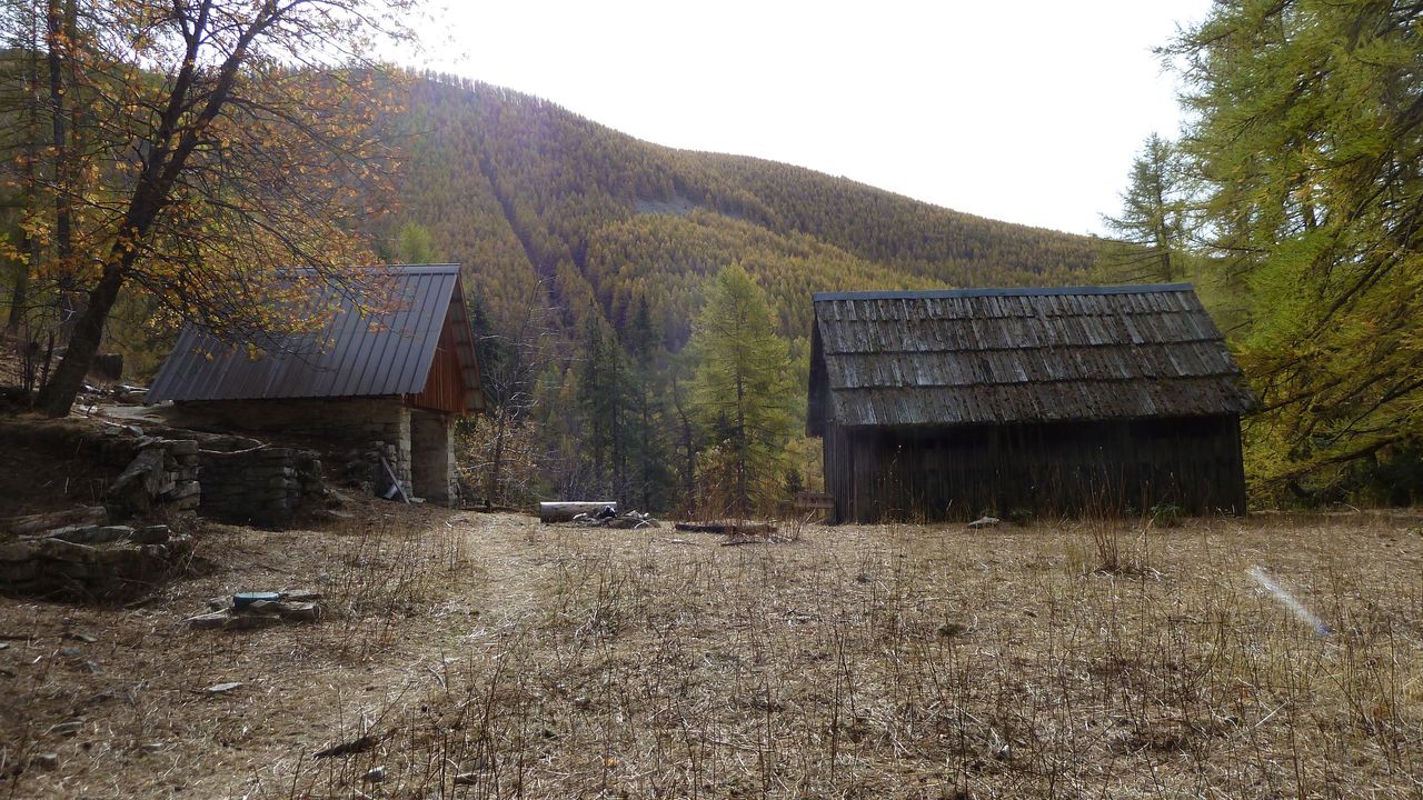 orgeas_oct_2017_56.JPG
