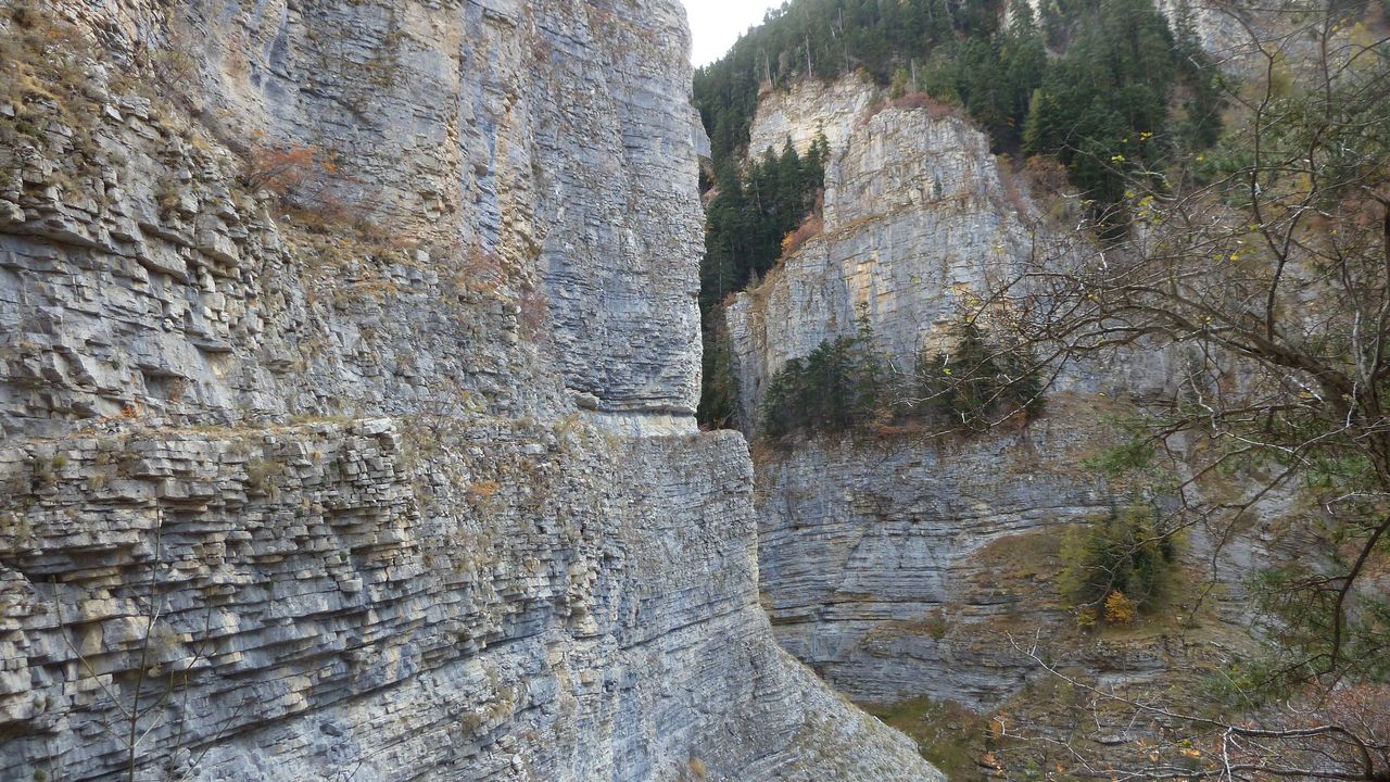 orgeas_oct_2017_90.JPG