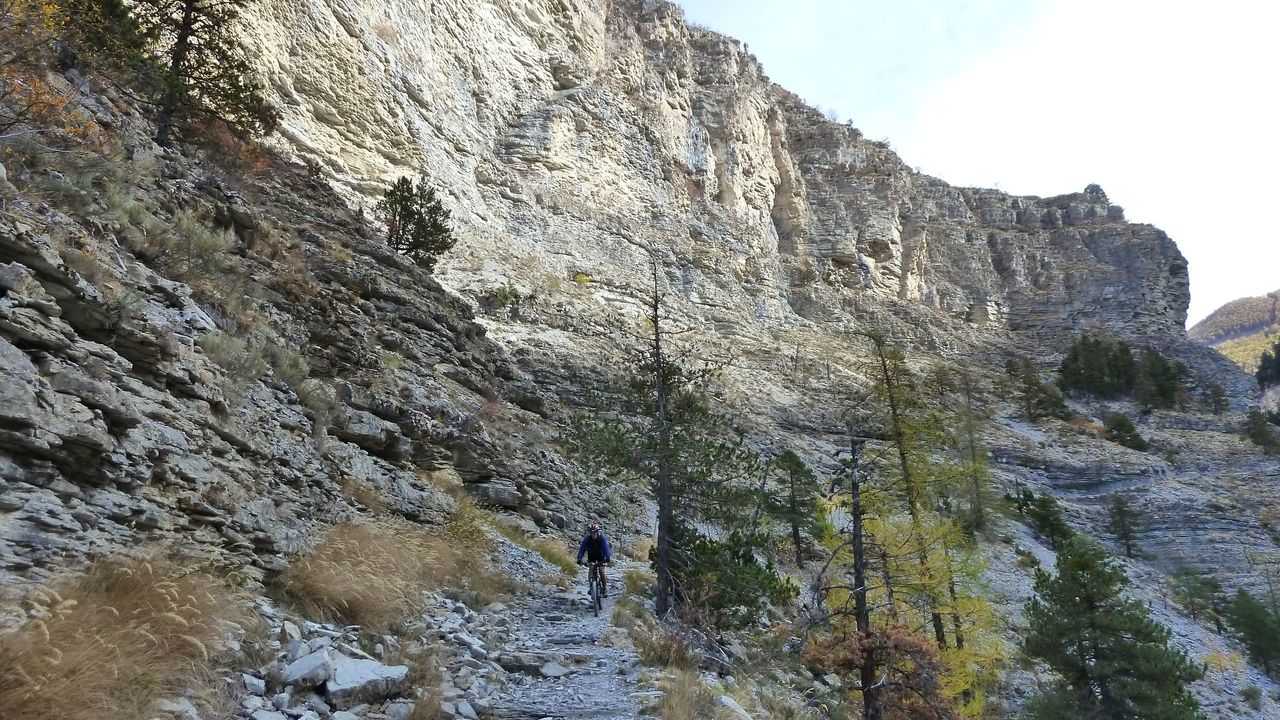 orgeas_oct_2017_99.JPG