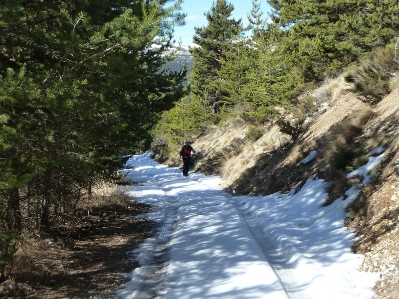 orgeas_apieds_fev_2012_025.jpg