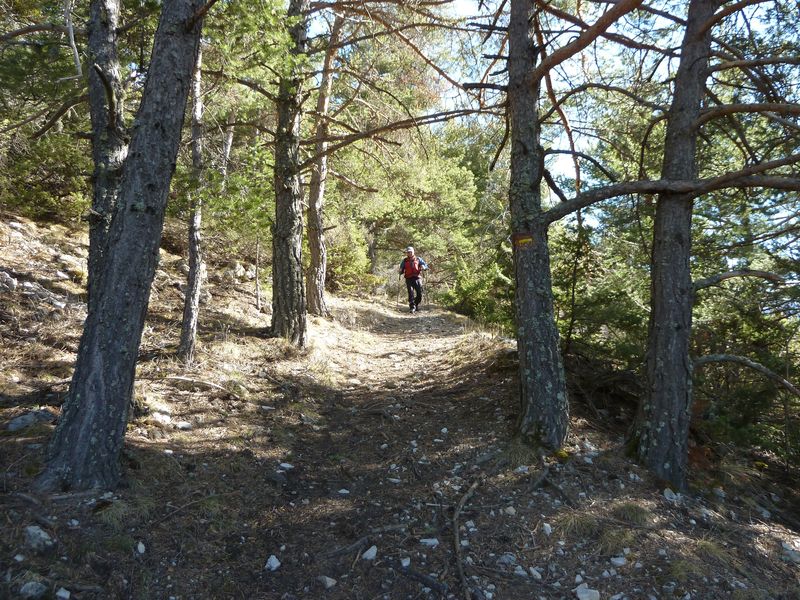 orgeas_apieds_fev_2012_037.jpg