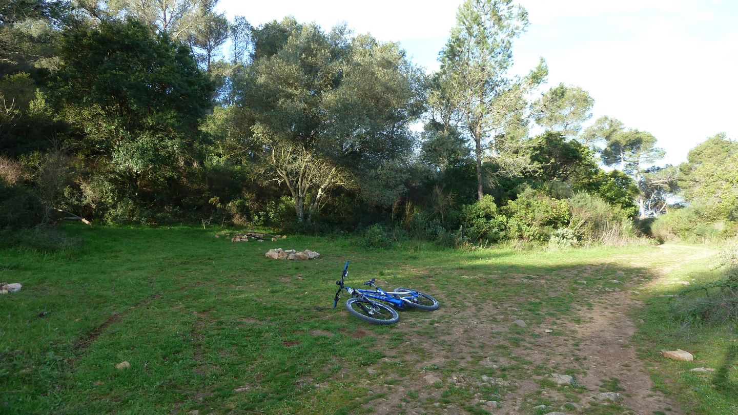 au pied du Mt Paradis 
