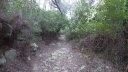 paradis_mont_des_oiseaux_mars_2017_011.JPG