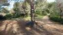 paradis_mont_des_oiseaux_mars_2017_035.JPG