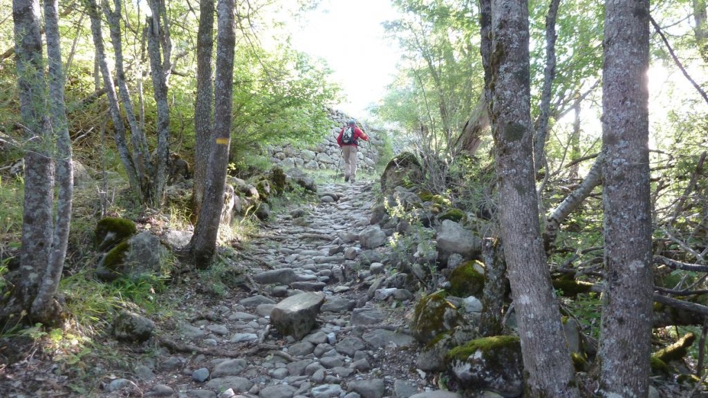 pas_de_l_echelle_2013_006.jpg