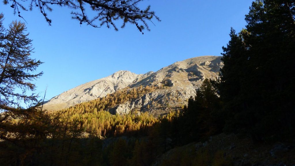 pelat_oct_2013_004.jpg
