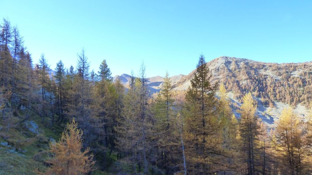 pelat_oct_2013_012.jpg