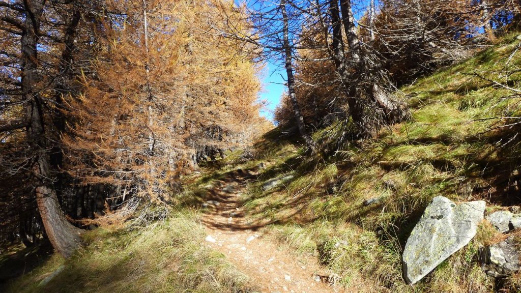 pelat_oct_2013_014.jpg