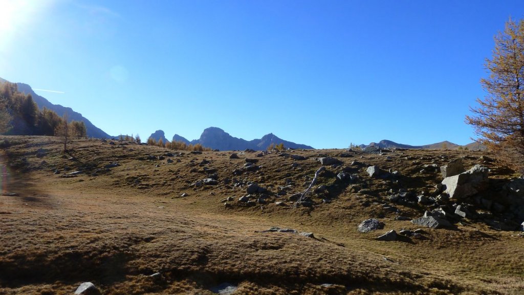 pelat_oct_2013_024.jpg