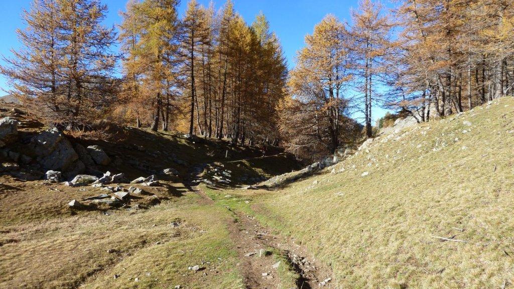 pelat_oct_2013_026.jpg