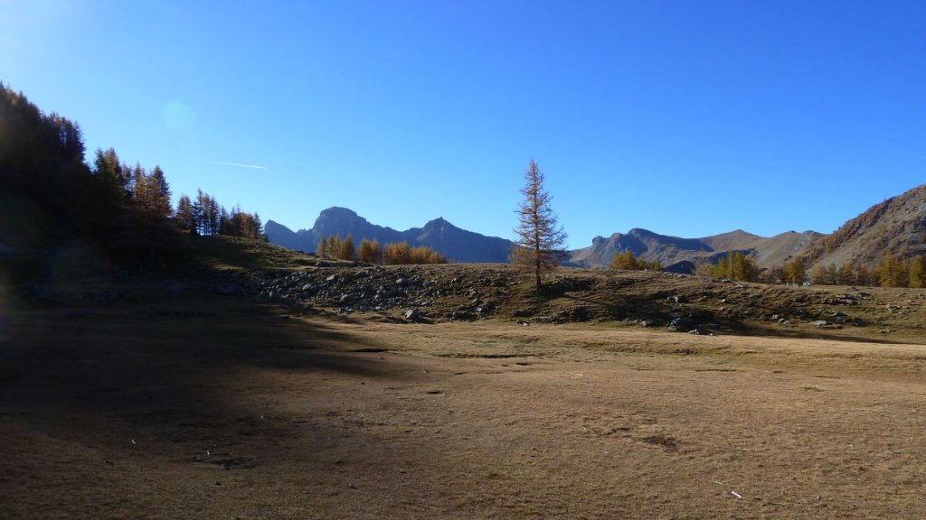 pelat_oct_2013_028.jpg