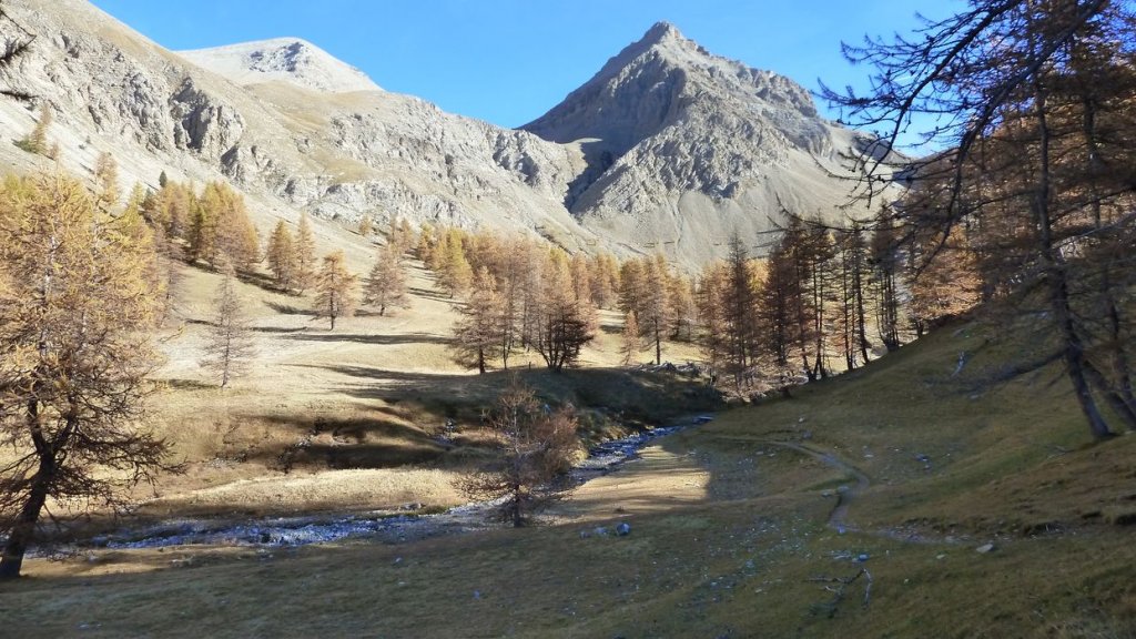 pelat_oct_2013_030.jpg