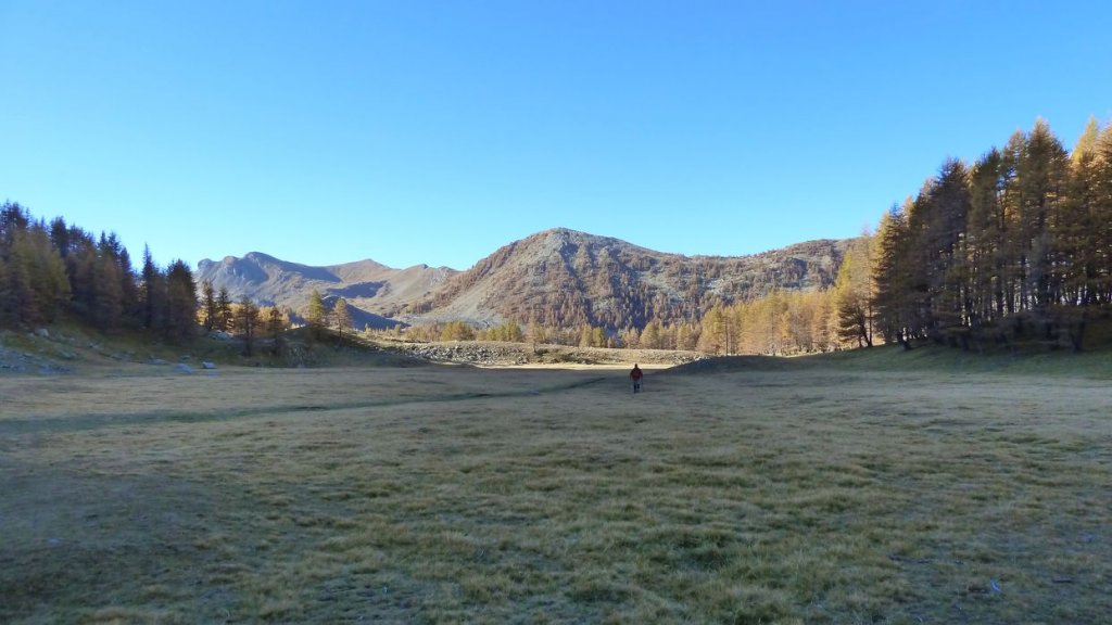 pelat_oct_2013_032.jpg