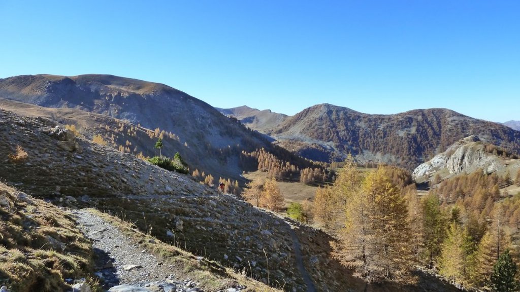 pelat_oct_2013_046.jpg