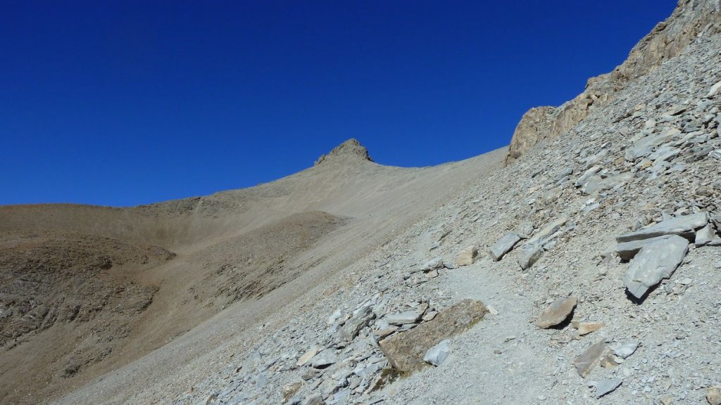 pelat_oct_2013_094.jpg