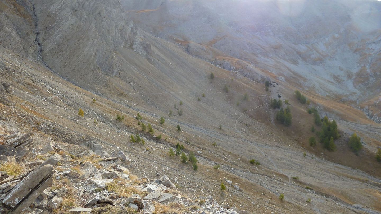 pelat_2017_16.JPG