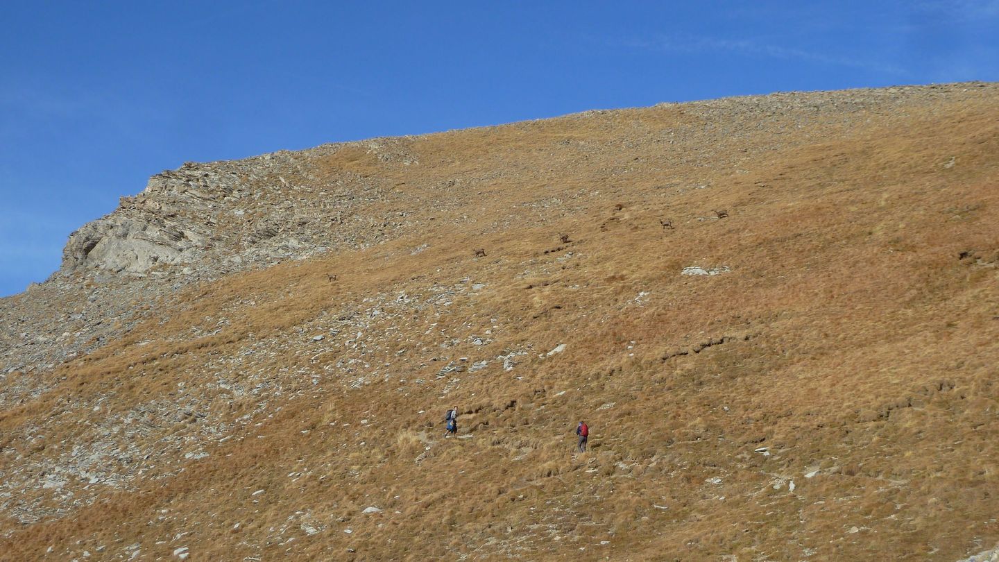 pelat_2017_34.JPG