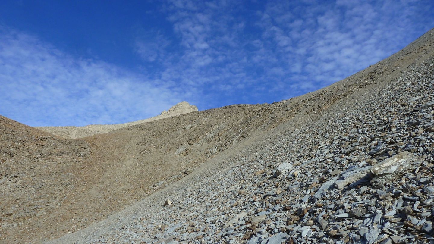 pelat_2017_43.JPG