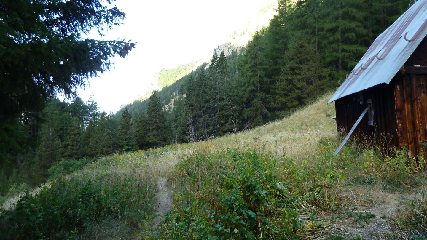 petit_col_talon_2017_082.JPG