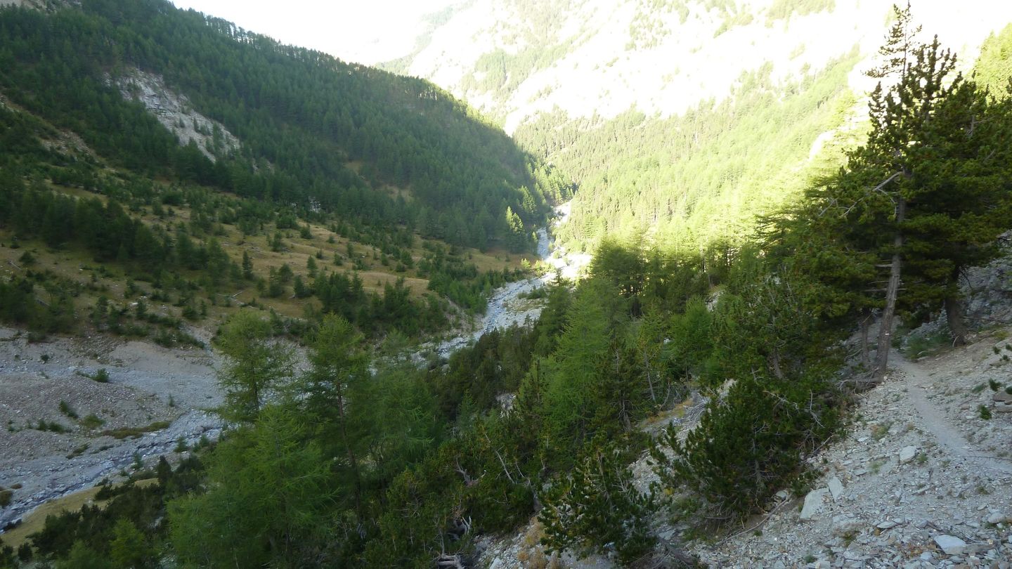 petit_col_talon_2017_106.JPG