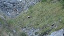 petit_col_talon_2017_034.JPG