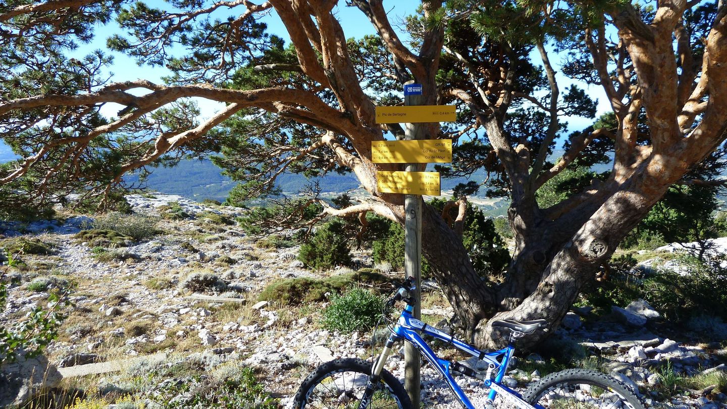 bertagne_juillet_2017_043.JPG