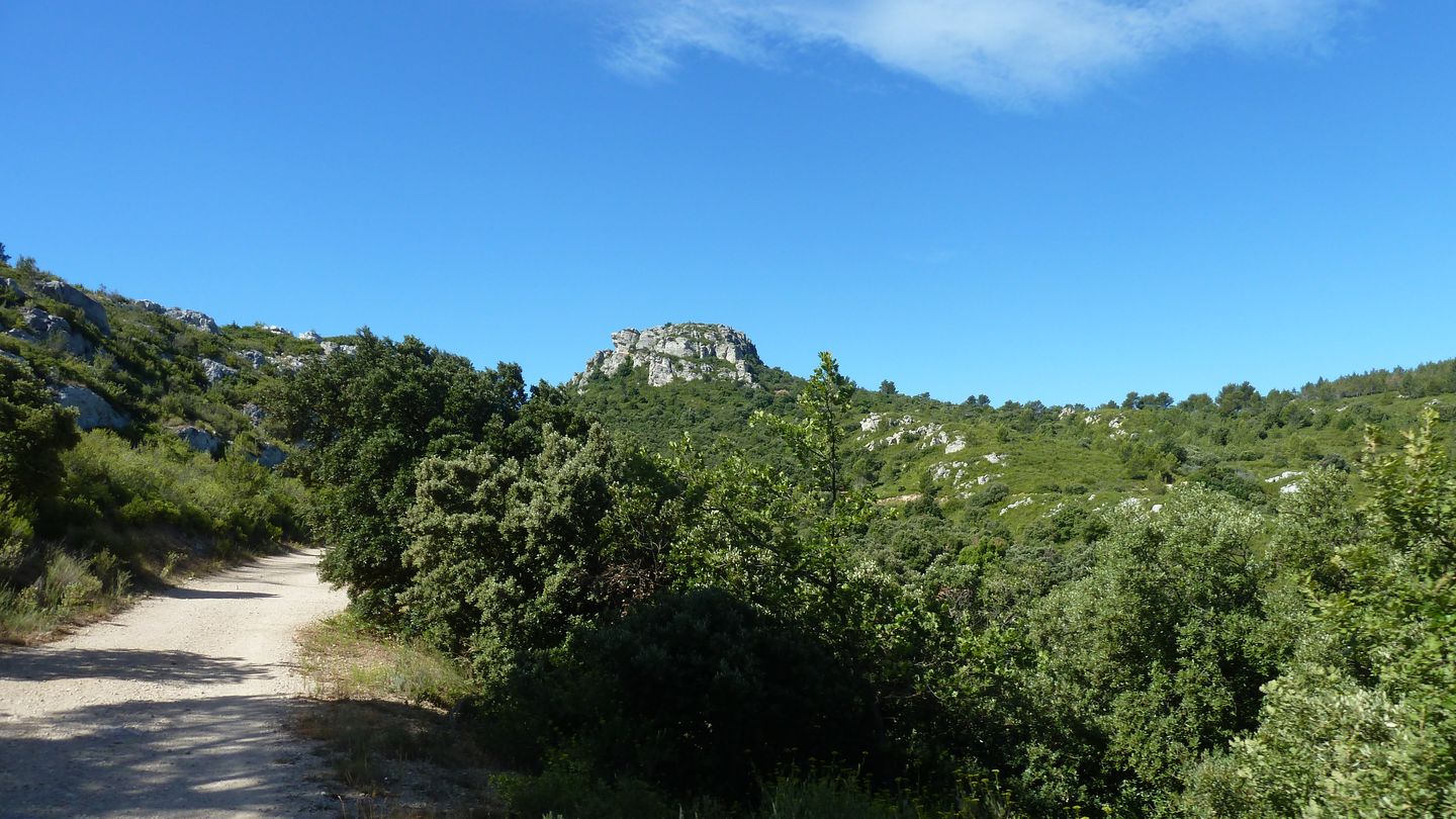 bertagne_juillet_2017_115.JPG