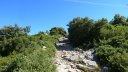 bertagne_juillet_2017_063.JPG
