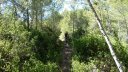 bertagne_juillet_2017_067.JPG