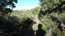 bertagne_juillet_2017_087.JPG