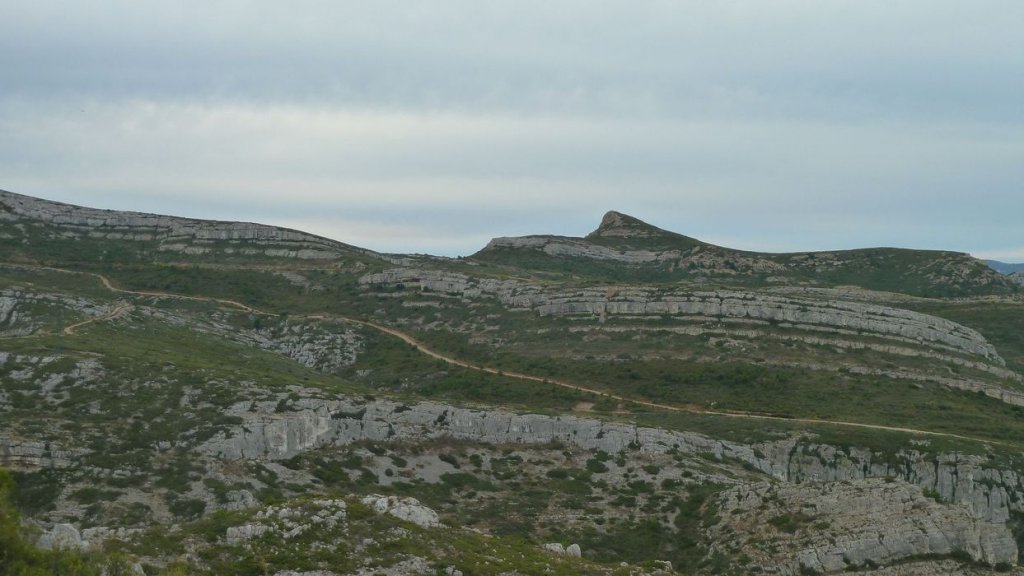 taoume_2015_011.JPG