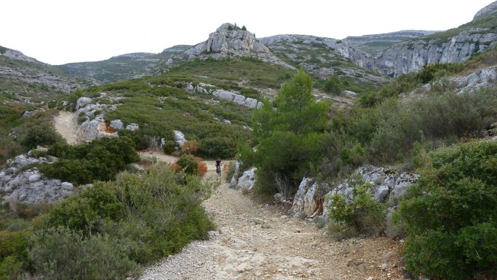 taoume_2015_071.JPG