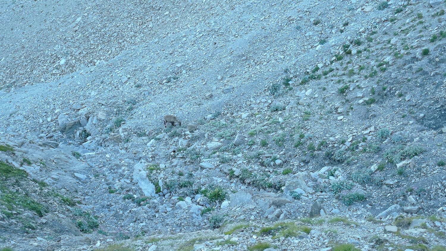 garrets_aout_21_003.jpg