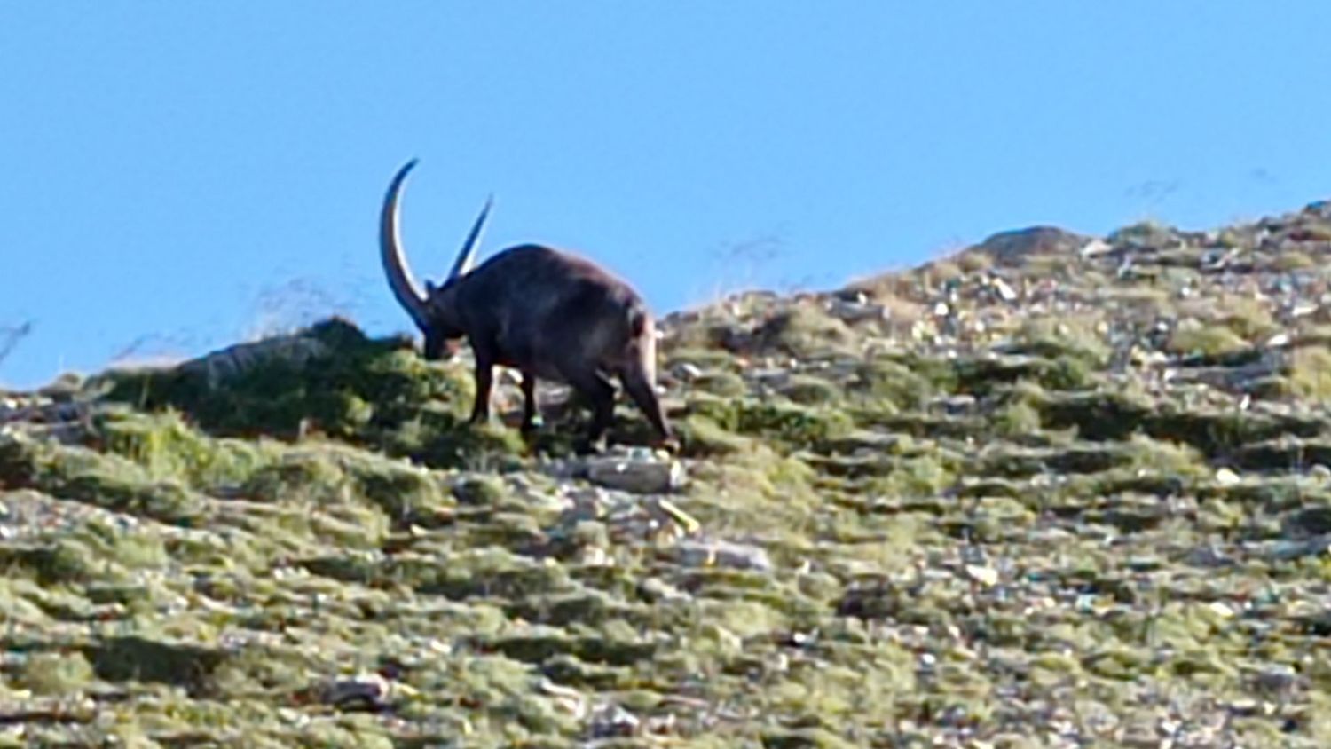 garrets_aout_21_020.jpg