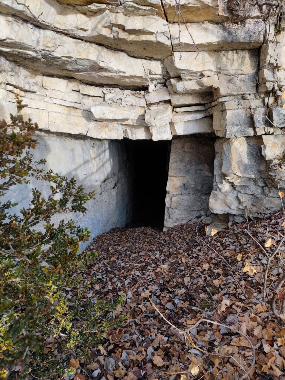 trou_chalvet_dec_2021_07.jpg