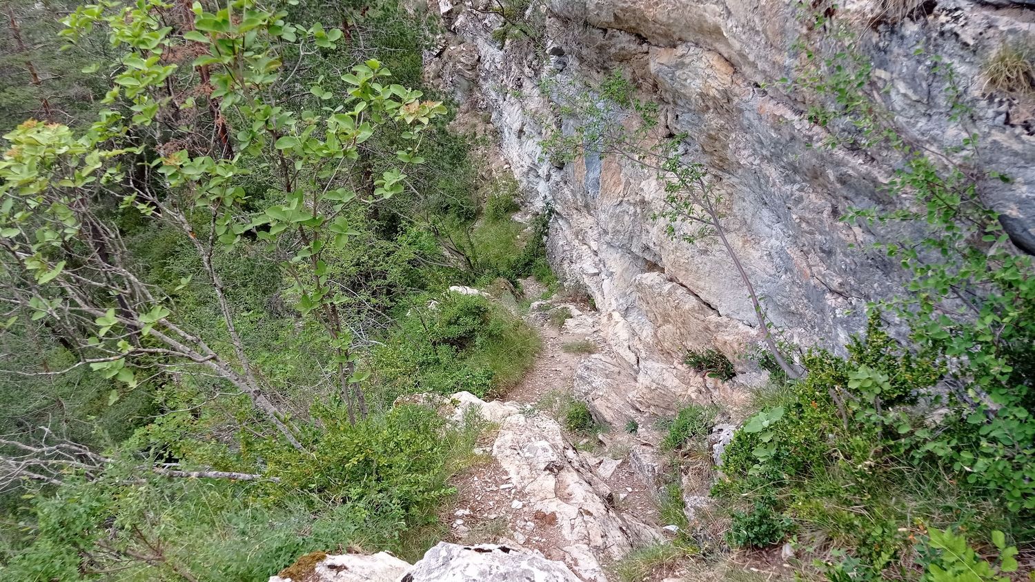 gr52a-la_lance_juin_2022_016.jpg