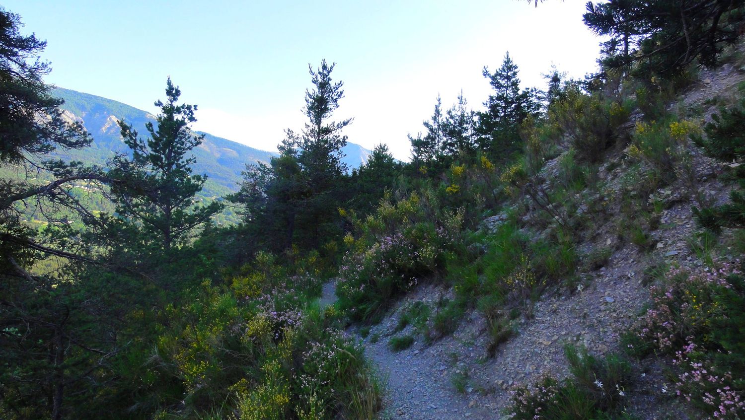 ondres_juin_2022_009.JPG